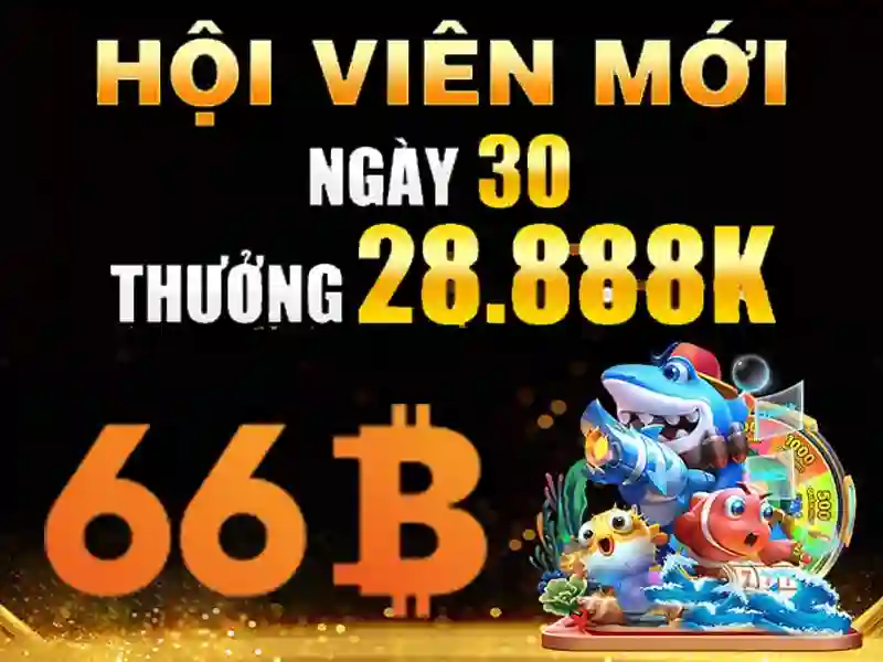 66b là gì?