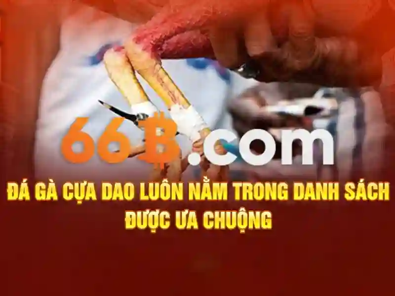 66B là gì và cách vận hành