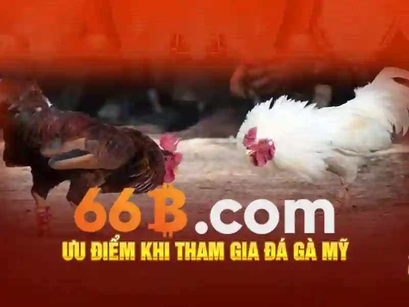 66b: Khái niệm, ứng dụng và tiềm năng