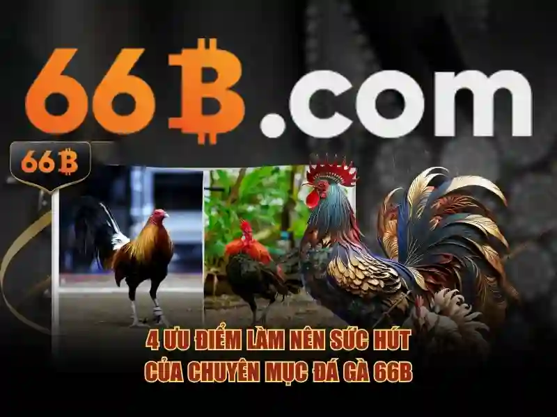 Cách tối ưu hóa mô hình 66B và nguồn lực cần thiết