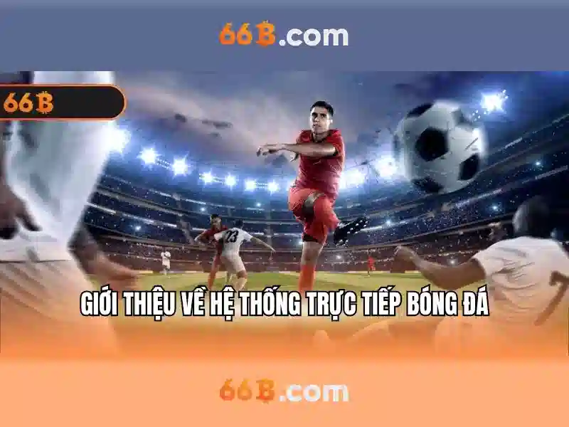 Phân tích cấu trúc của 66b