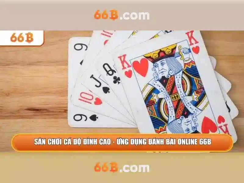 66B là gì?