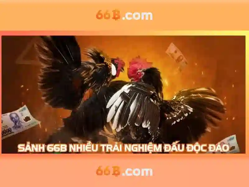 66b-la-gi