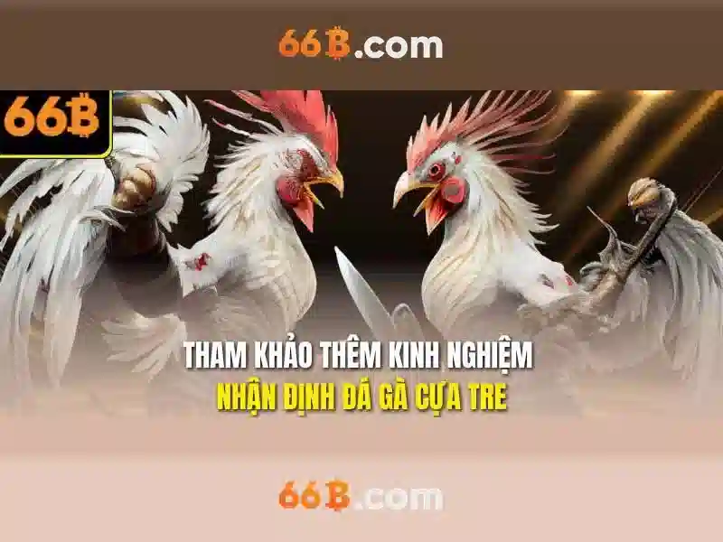 Những thách thức và lưu ý