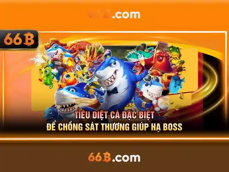 Các đặc điểm nổi bật của 66b
