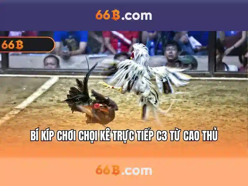 66b là gì và vì sao nó được quan tâm