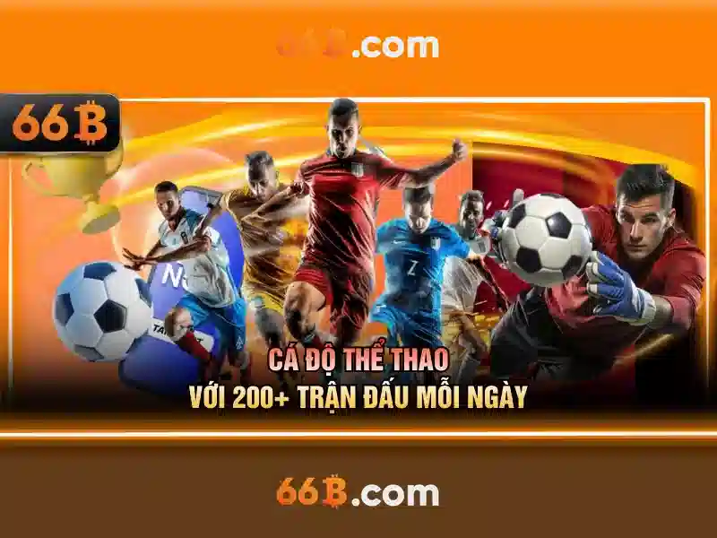 Chuẩn bị dữ liệu và an toàn khi dùng 66b