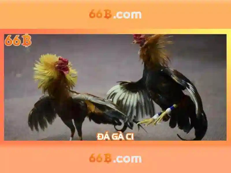 66B: Mô hình ngôn ngữ lớn và tác động