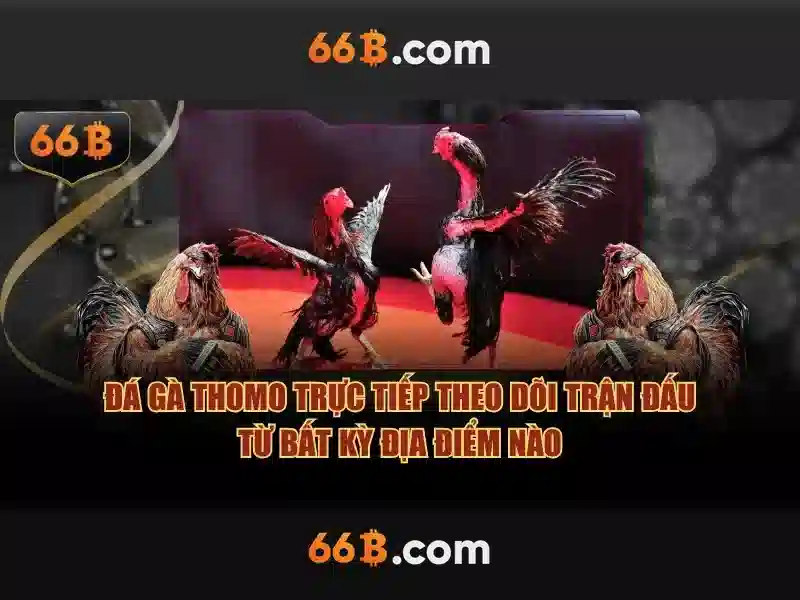 Mô hình 66B: Khai phá 66 tỷ tham số trong trí tuệ nhân tạo