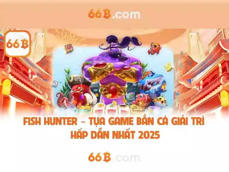 66b: một cái nhìn tổng quan