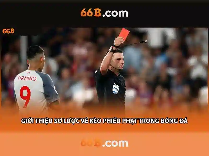 66b và cách nó liên quan đến dữ liệu mở