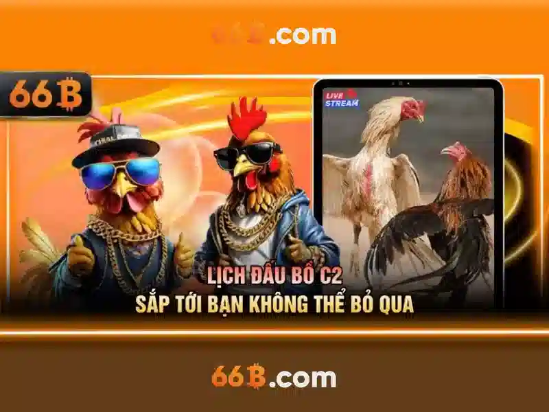 66b: một khái niệm công nghệ nổi bật