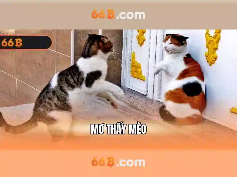 66b: Khái niệm và ứng dụng tiềm ẩn