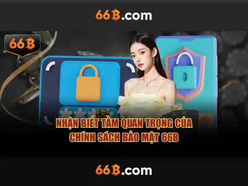 66B là gì?