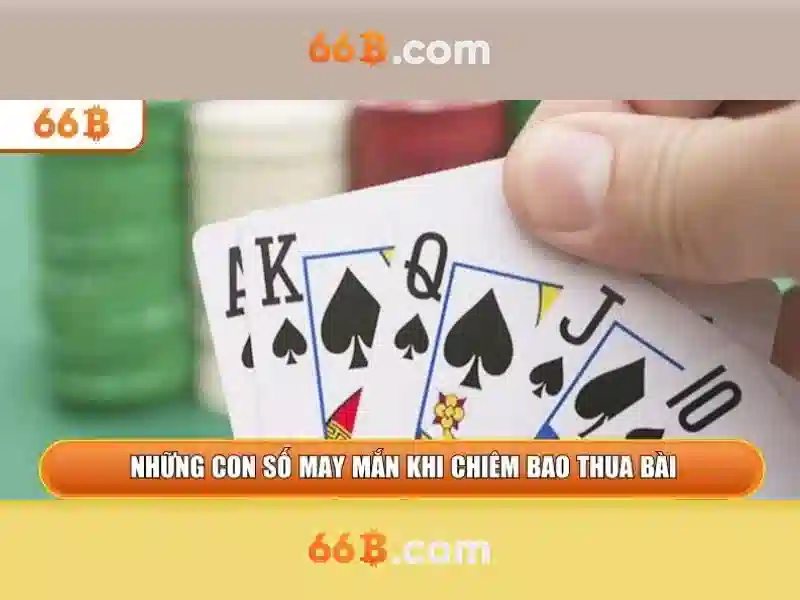 66B là gì và vai trò của nó trong công nghệ