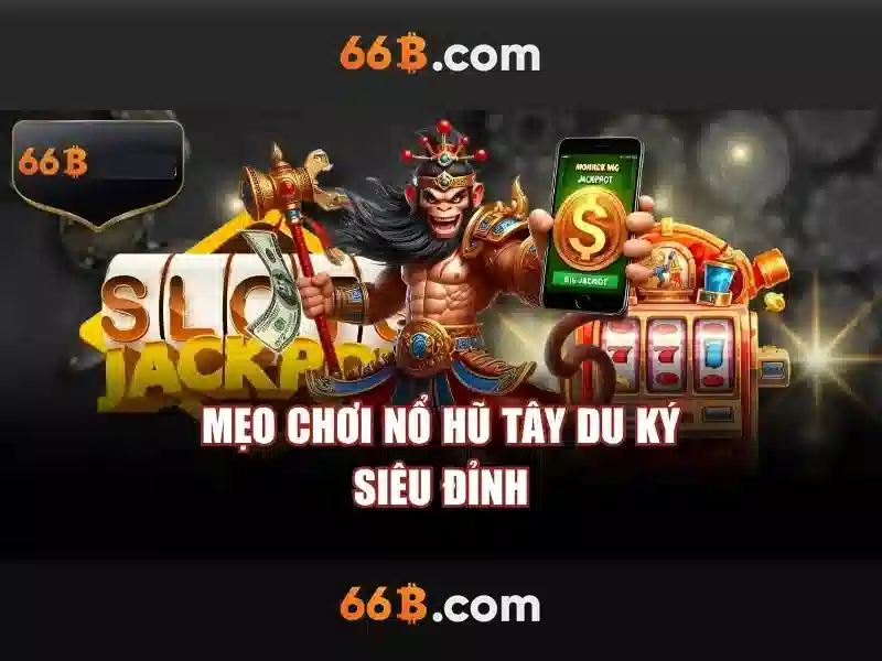 66b và hành trình khám phá dữ liệu