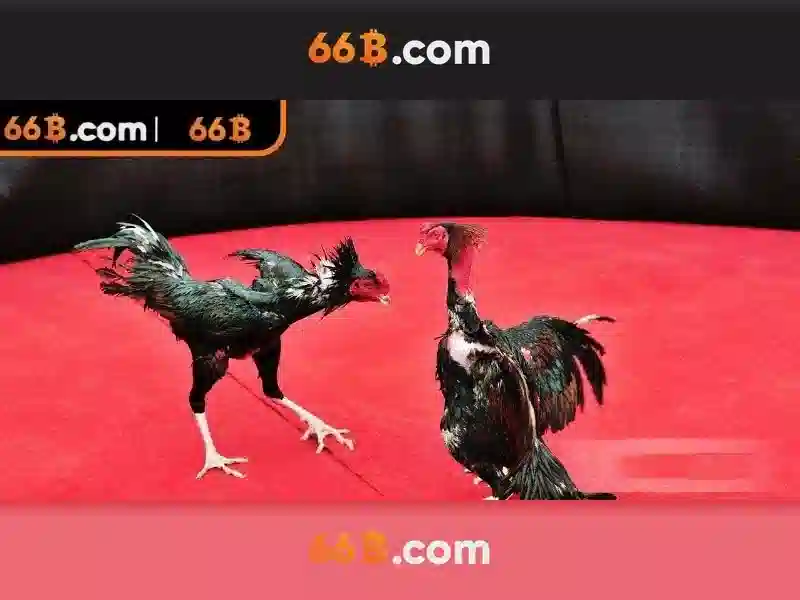 Kiến trúc của 66b