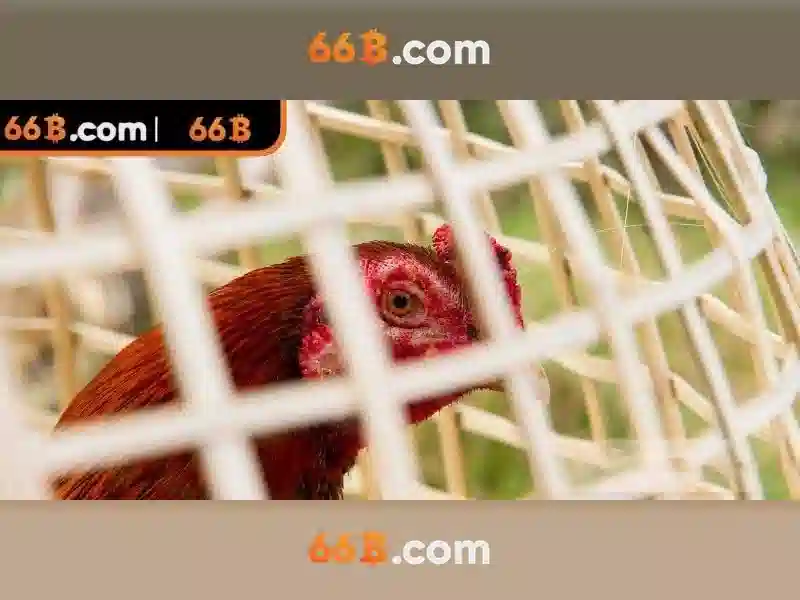 Kiến trúc và kích thước 66B