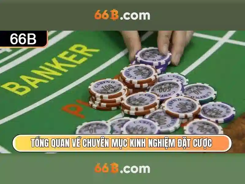 66B: Mô hình ngôn ngữ 66 tỷ tham số và xu hướng tương lai