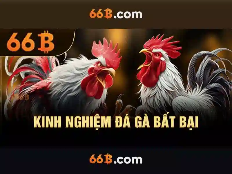 Ứng dụng thực tế và giới hạn