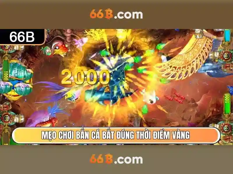 Thu thập nguồn tin và cảnh báo chất lượng