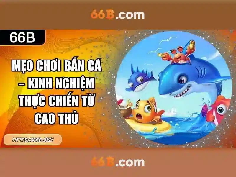 66b: một khái niệm và hành trình trong thế giới số