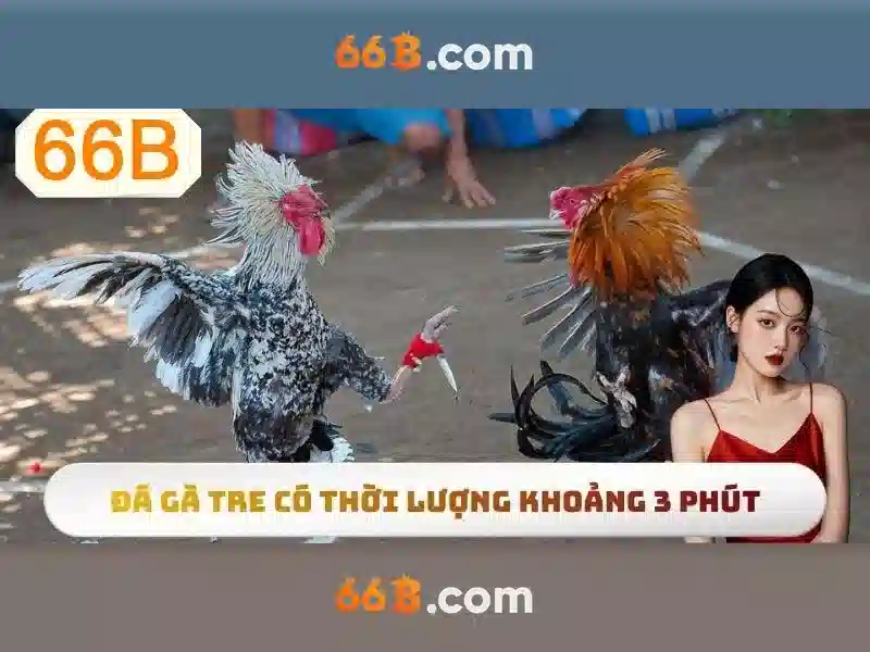 66b: Mô hình ngôn ngữ lớn với 66 tỷ tham số