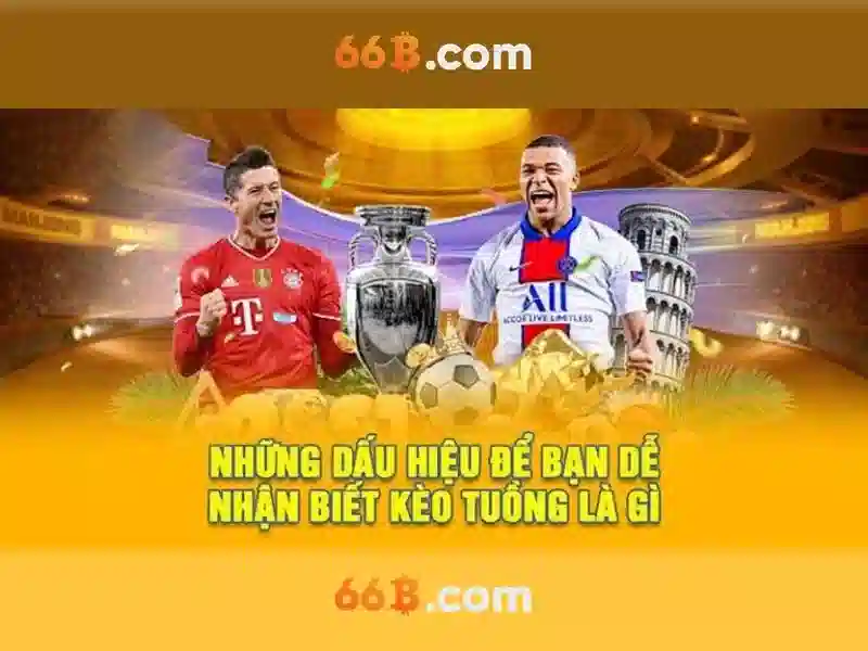 66B: Định nghĩa và quy mô
