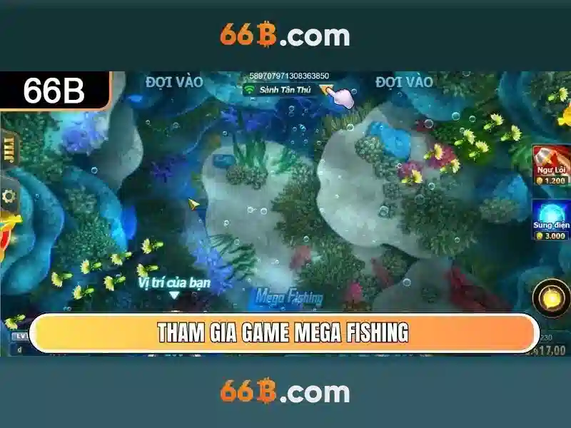 Ứng dụng và thị trường