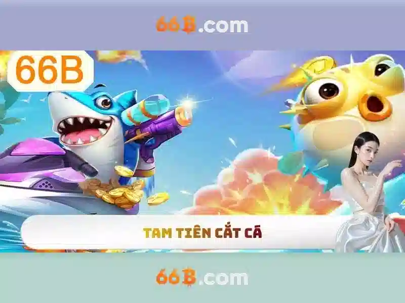 66B là gì?