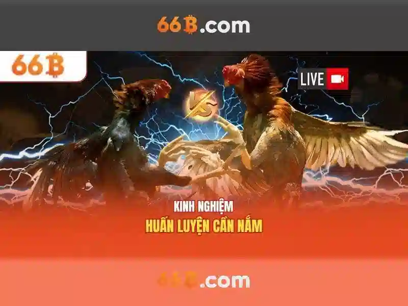 66b: Khám phá mô hình ngôn ngữ 66b và ứng dụng