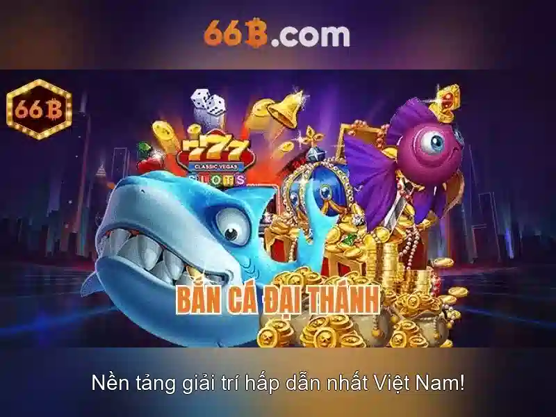 66B: Khái niệm, kích thước và ý nghĩa