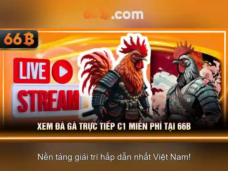 66b: Tổng quan về một mô hình AI tiên tiến