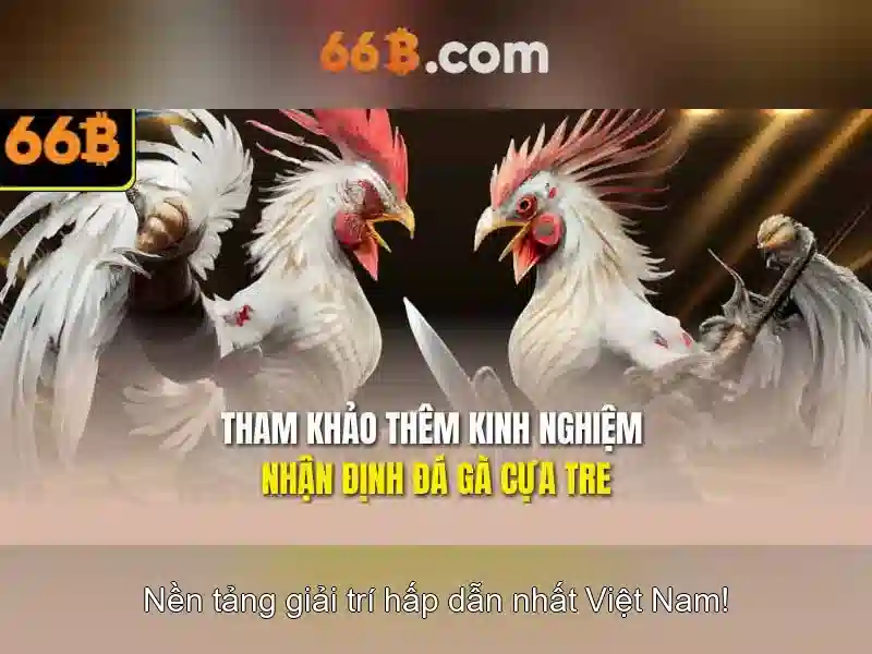 Ứng dụng và giới hạn