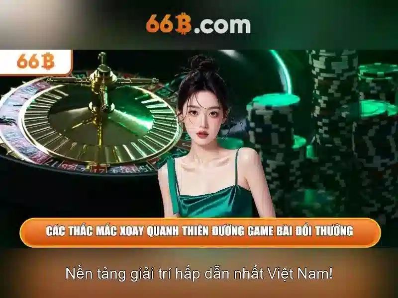 66B là gì và các ứng dụng của nó