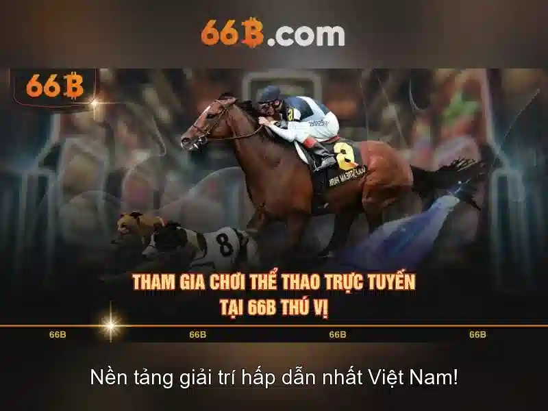 66b: Khái niệm, cấu trúc và ứng dụng