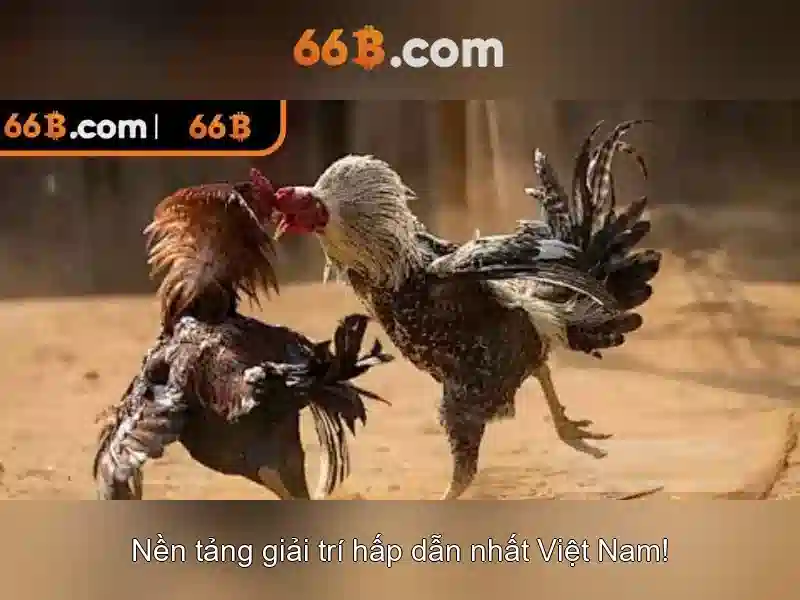 Hiệu suất và hiệu quả
