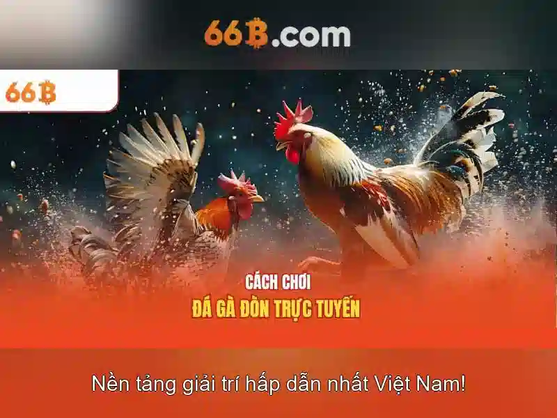 Khái niệm cơ bản về 66B