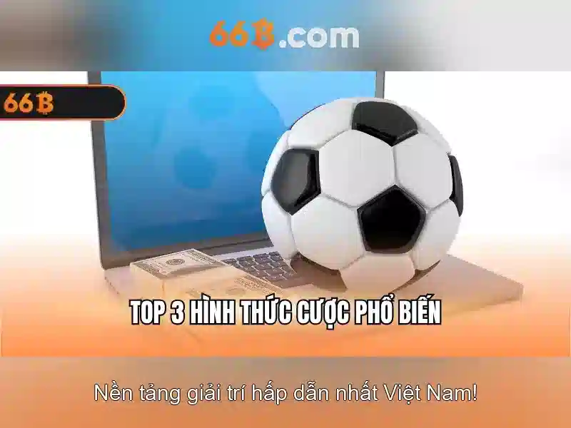 Đặc điểm nổi bật của 66b