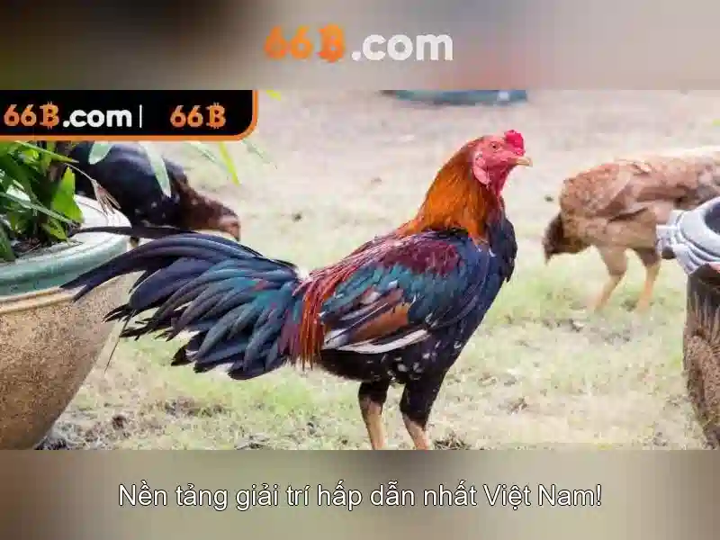 LLaMA 66B: Khám phá mô hình ngôn ngữ 66 tỷ tham số