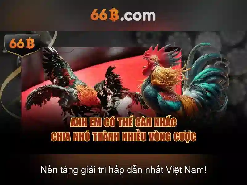 66B: Khái niệm, ứng dụng và triển vọng