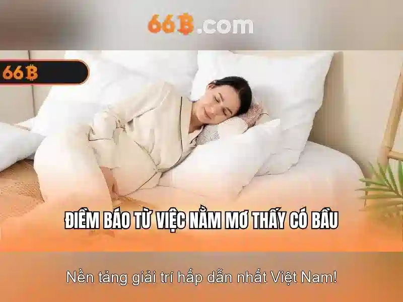 66b: Khái niệm, kích thước và ứng dụng