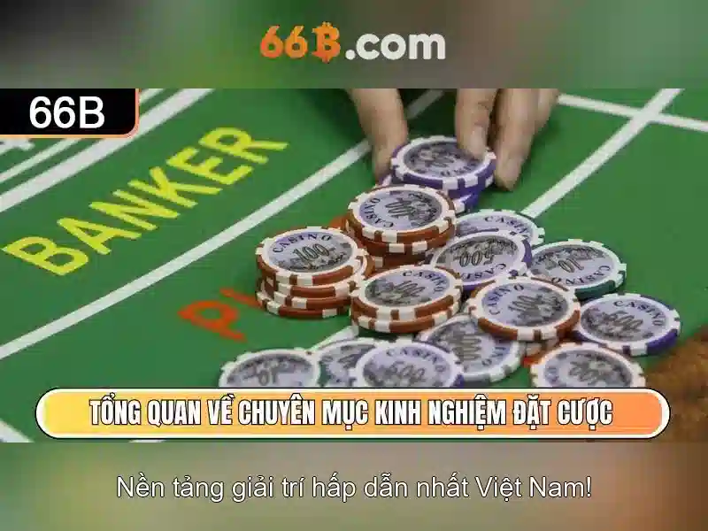 66B là gì? - Khái niệm và ứng dụng