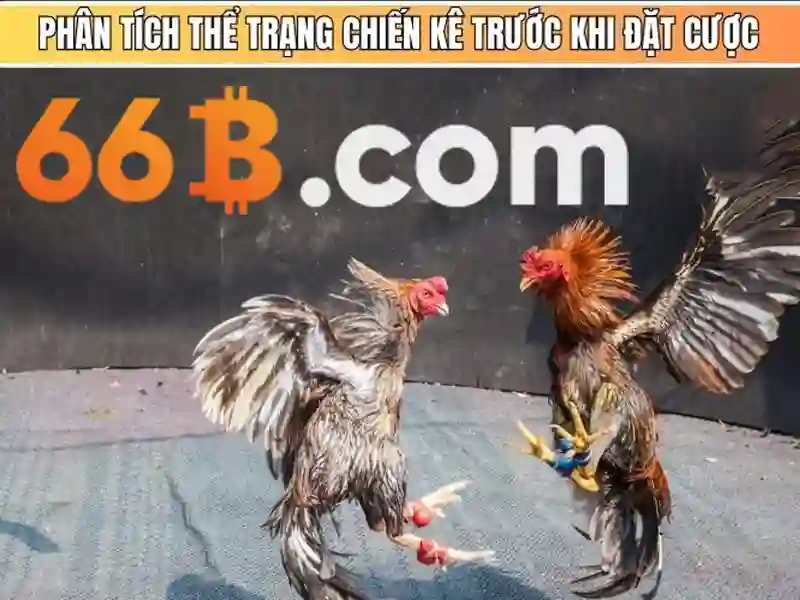 66b: một khía cạnh của công nghệ và cộng đồng