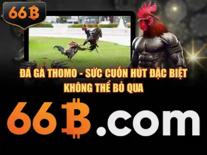 Kiến trúc và cách hoạt động