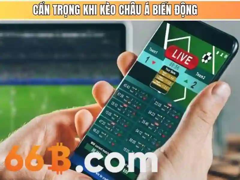 66B là gì?