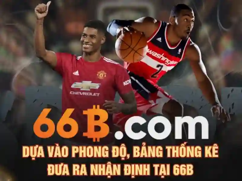 66b là một khái niệm đa chiều