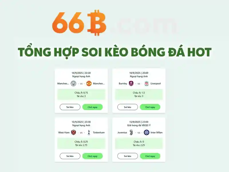 66b: Tổng quan và tác động